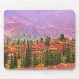 Mousepad Cor de outono no Parque Nacional Denali