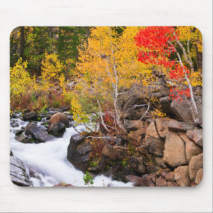 Mousepad Cor de queda ao longo de Bishop Creek, CA