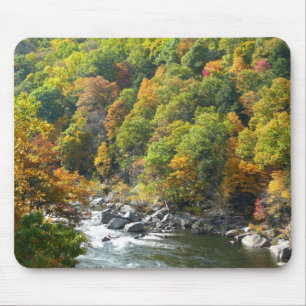 Mousepad Cor de queda no Parque Estadual de Ohiopyle