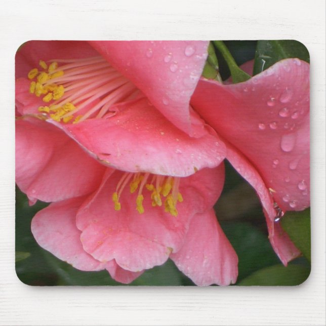 Mousepad cor-de-rosa da flor de Camelia do MACHADO (Frente)