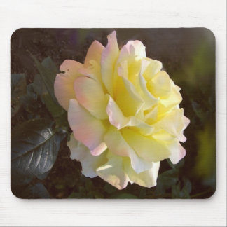 Mousepad cor-de-rosa da paz