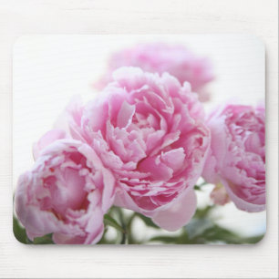 mousepad cor-de-rosa das peônias