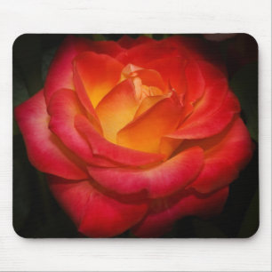 Mousepad cor-de-rosa do ardor