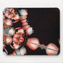 "Coração branco a preto do sol"