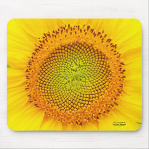 Mousepad Coração do girassol