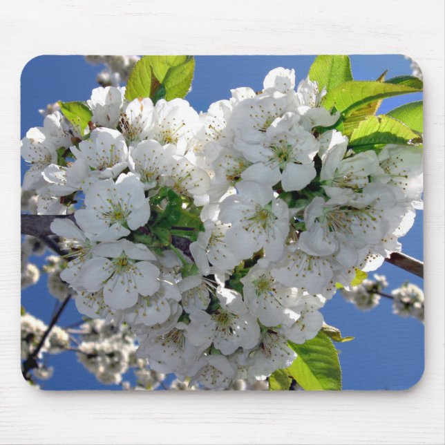 Mousepad Coração florescente de cereja (Frente)