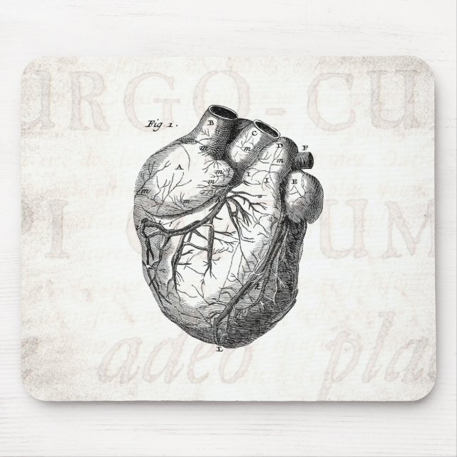 Mousepad Corações cardíacos retros da anatomia do coração (Frente)