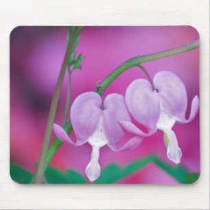 Mousepad Corações Sangrando Conectando-se no Jardim. Crédit