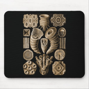 Mousepad Coral