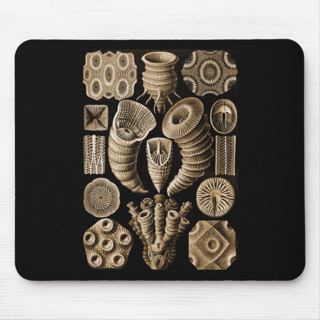 Mousepad Coral (Frente)