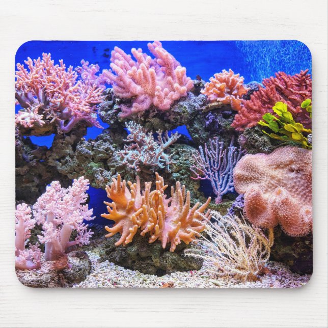 Mousepad Coral num Aquário de Água Salgada (Frente)