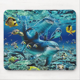 Mousepad coral_pals_dolphins_1B, rolo por todo o lado em