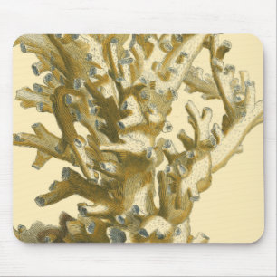 Mousepad Coral pelo Mar