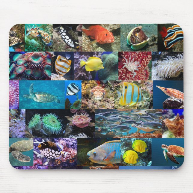 Mousepad Coral Recife Vida Marinha Animais da Natureza Aman (Frente)