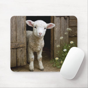 Mousepad Cordeiro de Primavera na Porta do Celeiro
