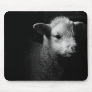 Mousepad Cordeiro recém-nascido