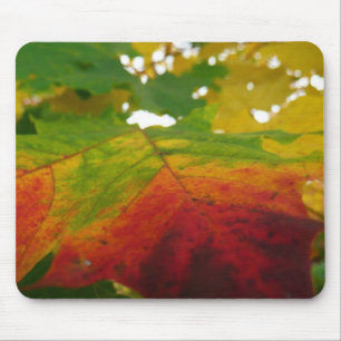 Mousepad Cores da Folha de Bordo Fotografia da Natureza de