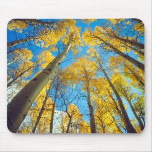 Mousepad Cores de outono das árvores Aspen 2