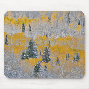 Mousepad Cores de Outono de Aspens & Neve Fresca Keebler Pa