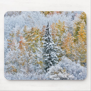 Mousepad Cores de Outono de Aspens & Snow Keebler Pass