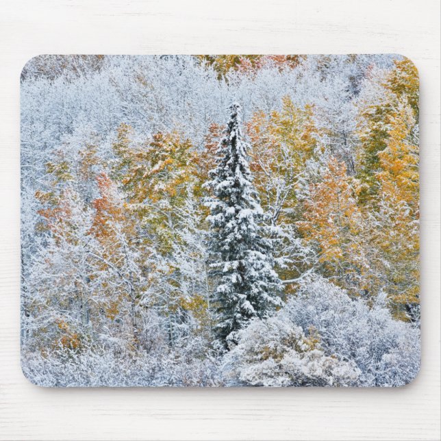 Mousepad Cores de Outono de Aspens & Snow Keebler Pass (Frente)