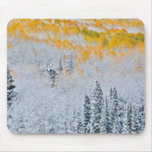 Mousepad Cores de Outono dos Álamos Montanhas Rochosas, C