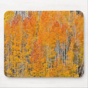Mousepad Cores de outono em Aspen Groves