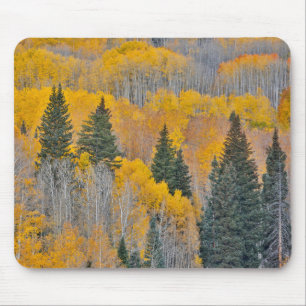Mousepad Cores de Outono em Bosques de Álamo