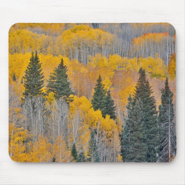 Mousepad Cores de Outono em Bosques de Álamo (Frente)