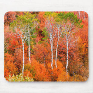Mousepad Cores de Outono nas Montanhas Rochosas, Wyoming, E