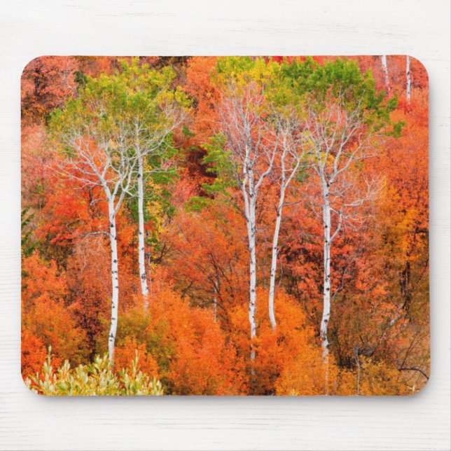 Mousepad Cores de Outono nas Montanhas Rochosas, Wyoming, E (Frente)