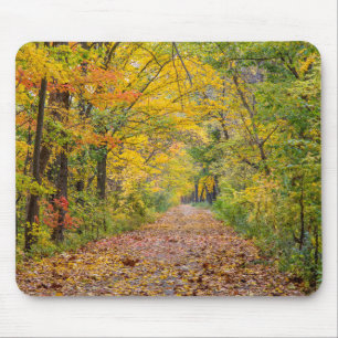 Mousepad Cores de Outono no Parque Estadual Independence