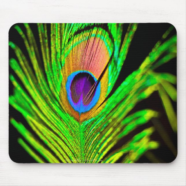 Mousepad Cores Neon Pena de Pavão (Frente)