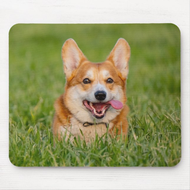 Mousepad Corgi Bonito Jogando na Grama (Frente)