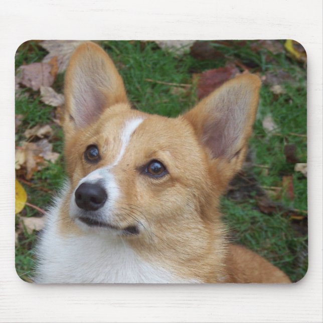 Mousepad Corgi considerável (Frente)