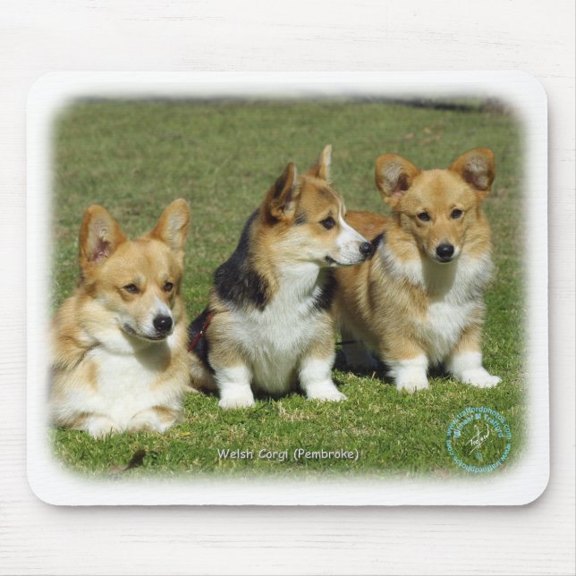 Mousepad Corgi de Galês (Pembroke) (Frente)