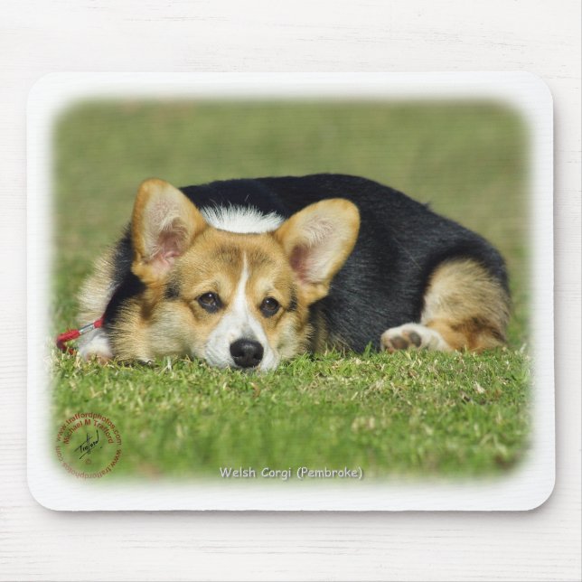 Mousepad Corgi de Galês (Pembroke) (Frente)