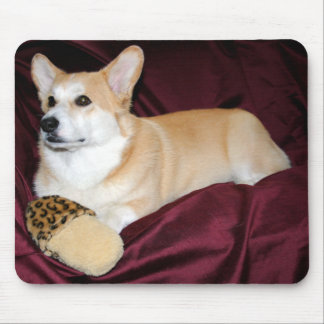Mousepad Corgi de vista real de Galês do Pembroke