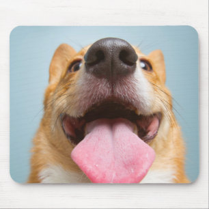 Mousepad Corgi muito feliz das imagens   de Getty