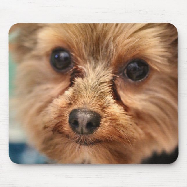 Mousepad Coroa (Frente)