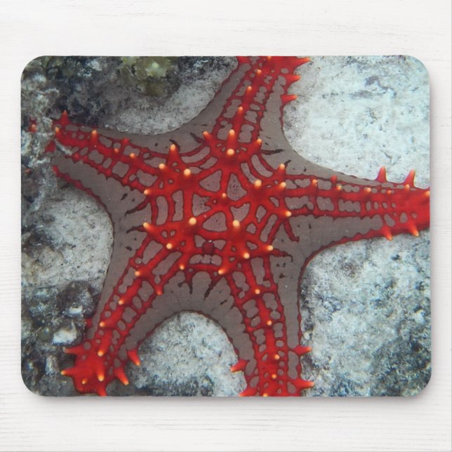 Mousepad Coroa da estrela do mar dos espinhos no recife de (Frente)