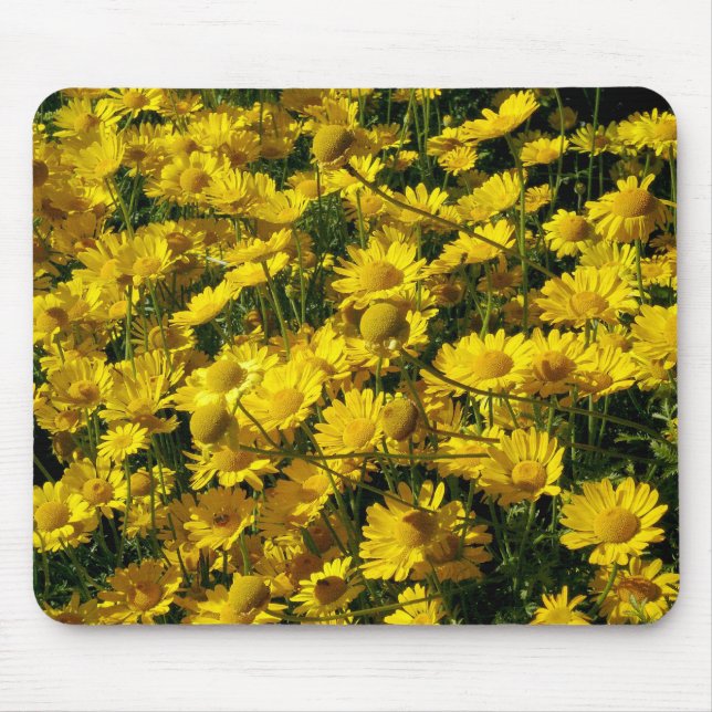 Mousepad Coroa de Daisias/Chrysanthemum Coronarium (Frente)