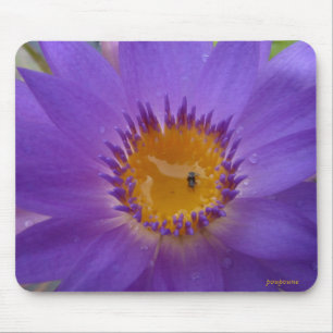 Mousepad coroa roxa
