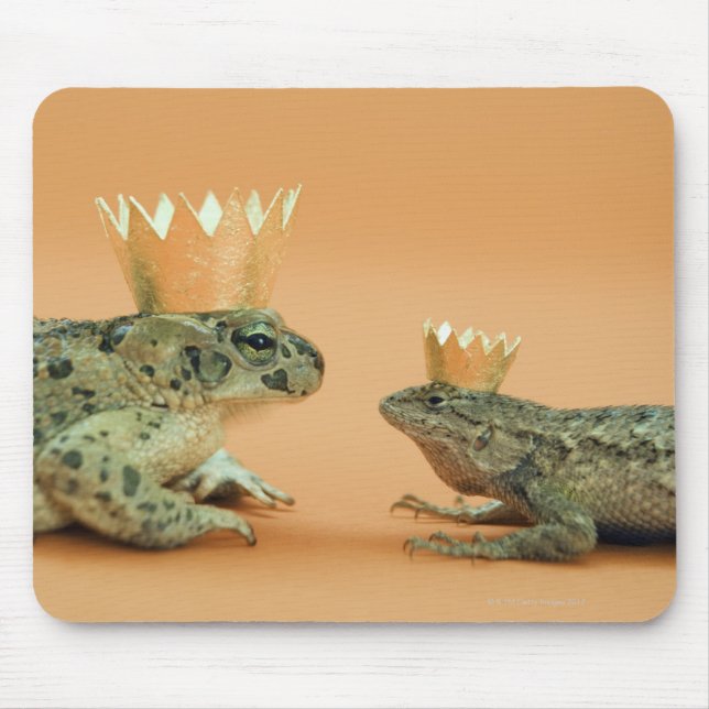 Mousepad Coroa sapo e lagarto vestindo (Frente)