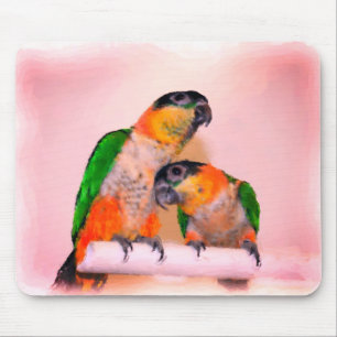 Mousepad Corpo de Papagaio Caique Par Arte de Pássaro