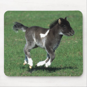 Mousepad Corredor diminuto do potro
