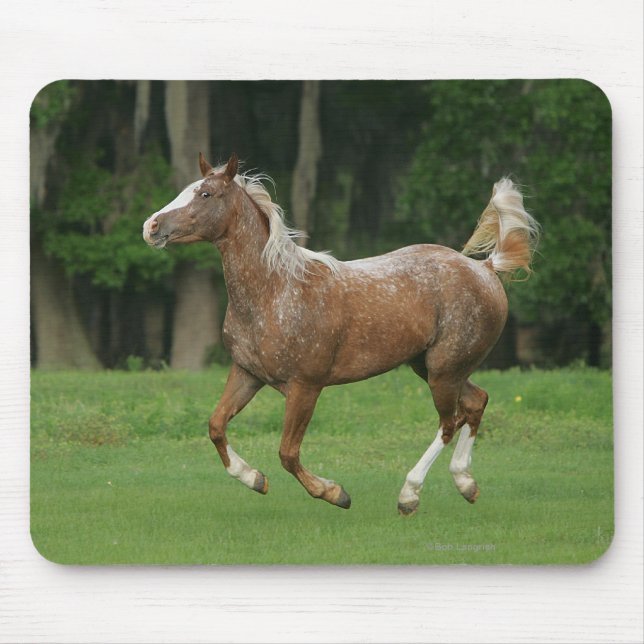 Mousepad Corredor do cavalo do Appaloosa (Frente)