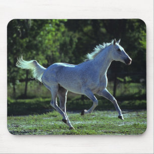 Mousepad Corredor do garanhão do puro-sangue