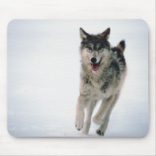 Mousepad Corredor do lobo cinzento