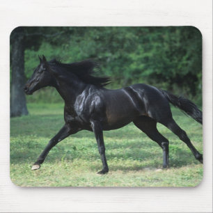 Mousepad Corredor do puro-sangue